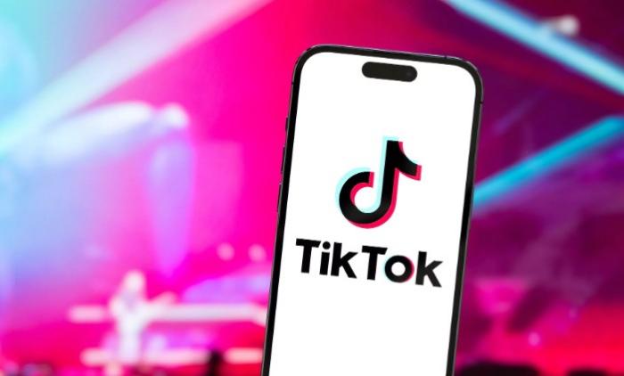 الفصل 1: Tiktok Downloader Snaptik مقدمة 1